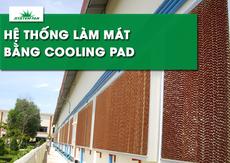 tim-hieu-ve-he-thong-lam-mat-nha-xuong-cooling-pad