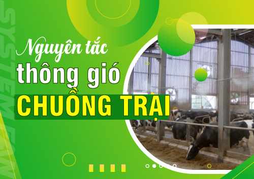 nguyen-tac-thong-gio-cho-chuong-trai-chan-nuoi