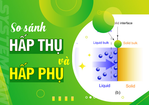 so-sanh-phuong-phap-hap-phu-va-hap-thu