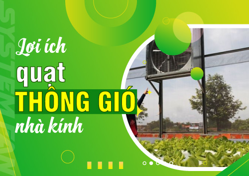 3-loi-ich-tuyet-voi-cua-quat-thong-gio-nha-kinh