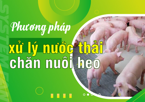 cac-phuong-phap-xu-ly-nuoc-thai-chan-nuoi-heo