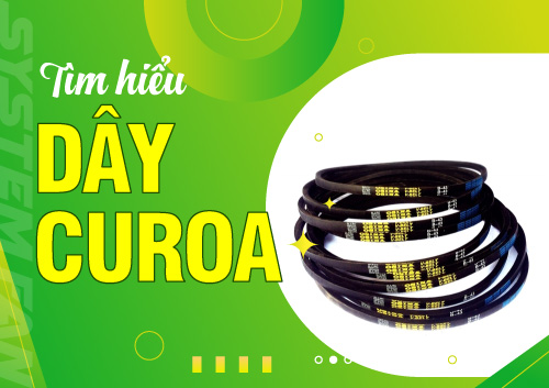 day-curoa-la-gi-cau-tao-ung-dung-phan-loai-day-curoa