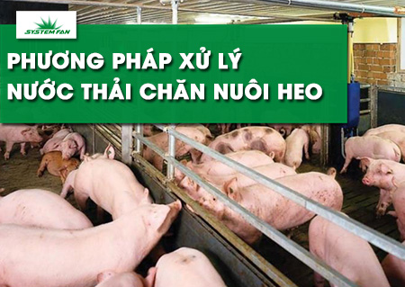 cac-phuong-phap-xu-ly-nuoc-thai-chan-nuoi-heo