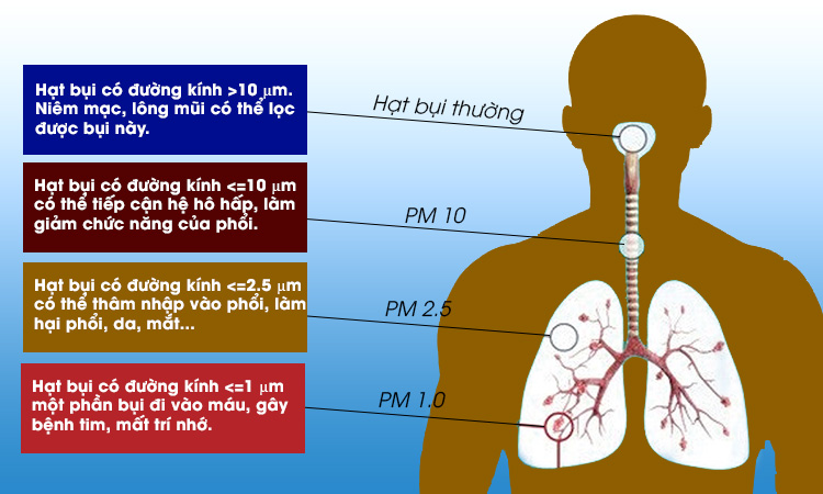 Bụi bẩn trực tiếp ảnh hưởng tới sức khoẻ con người