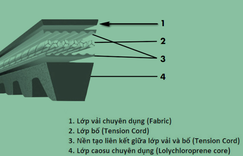 Cấu tạo dây curoa Cấu tạo của dây curoa