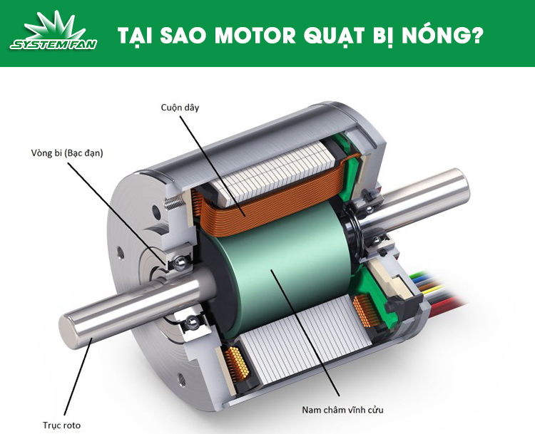 Cấu tạo motor quạt