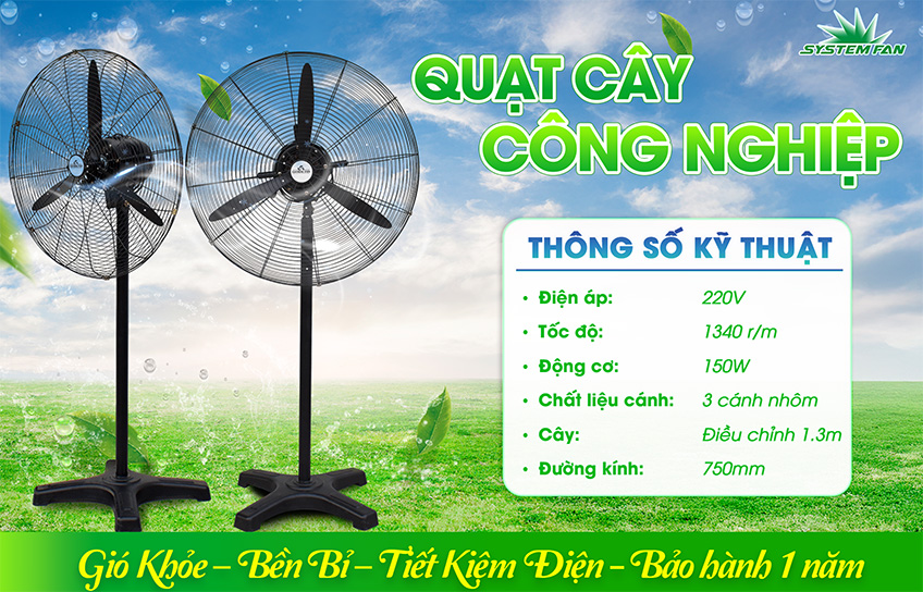 Quat cay dan dung