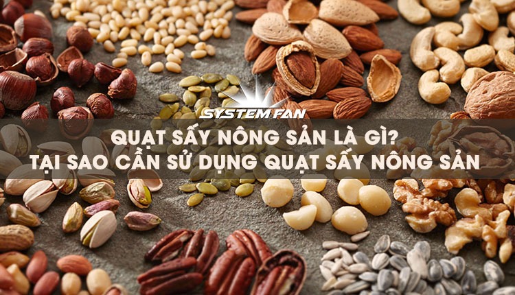 Quạt sấy nông sản là gì?