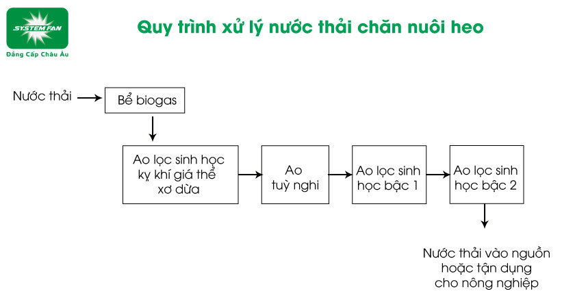 Quy trình xử lý nước thải chăn nuôi heo