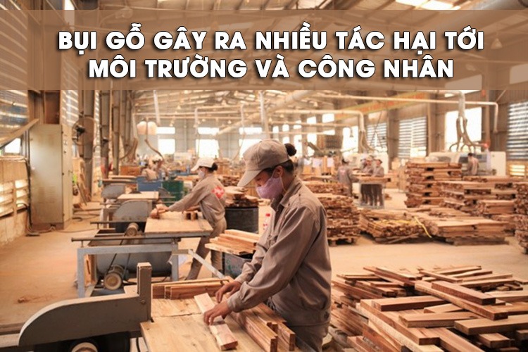 Tác hại của bụi gỗ đến môi trường và công nhân