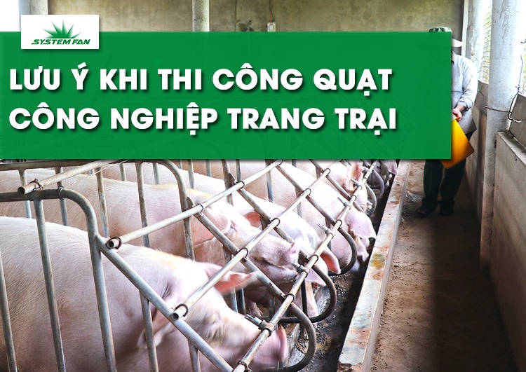 Lưu ý khi thi công quạt công nghiệp trang trại