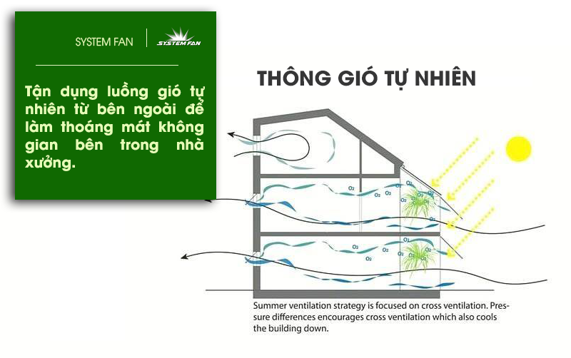 làm mát nhà xưởng tự nhiên