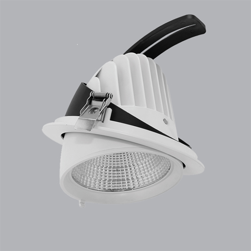 ĐÈN DOWNLIGHT ĐIỀU CHỈNH MPE 50W