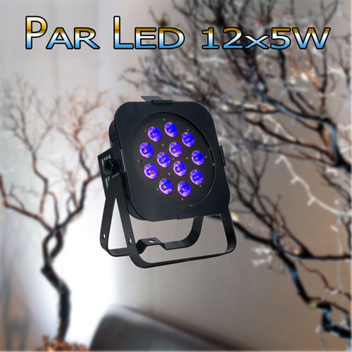 par-led-12x5w