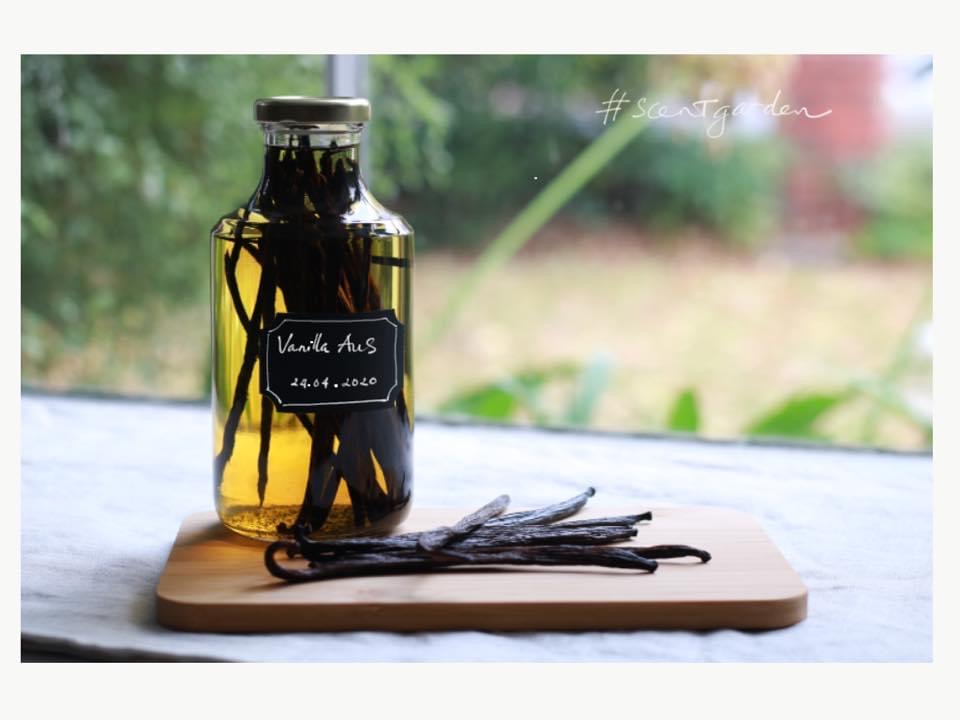 HƯỚNG DẪN CÁCH LÀM VANILLA TINCTURE