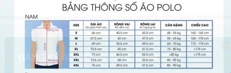 ÁO THUN POLO APV262003