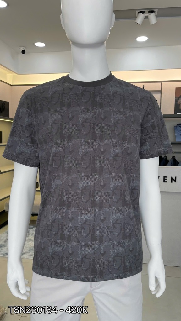 ÁO THUN T-SHIRT TSN260134
