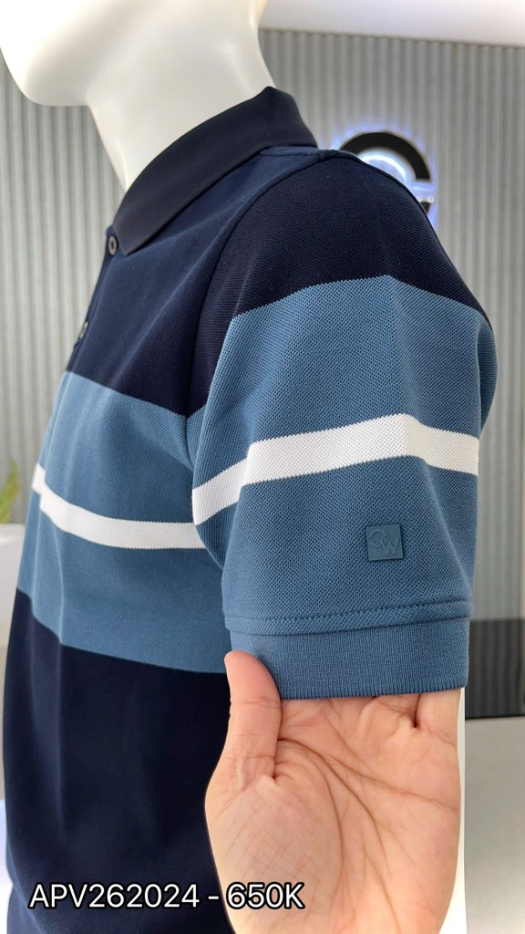 ÁO THUN POLO APV262024