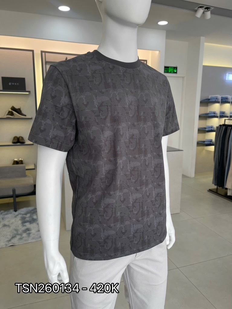 ÁO THUN T-SHIRT TSN260134