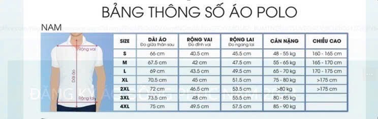 ÁO THUN POLO APV262018