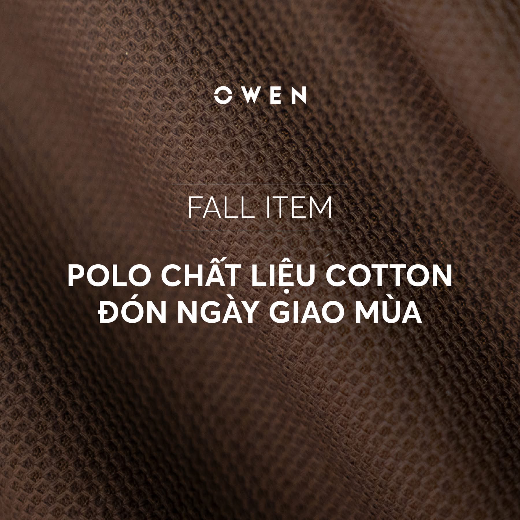 ÁO THUN POLO APV257048