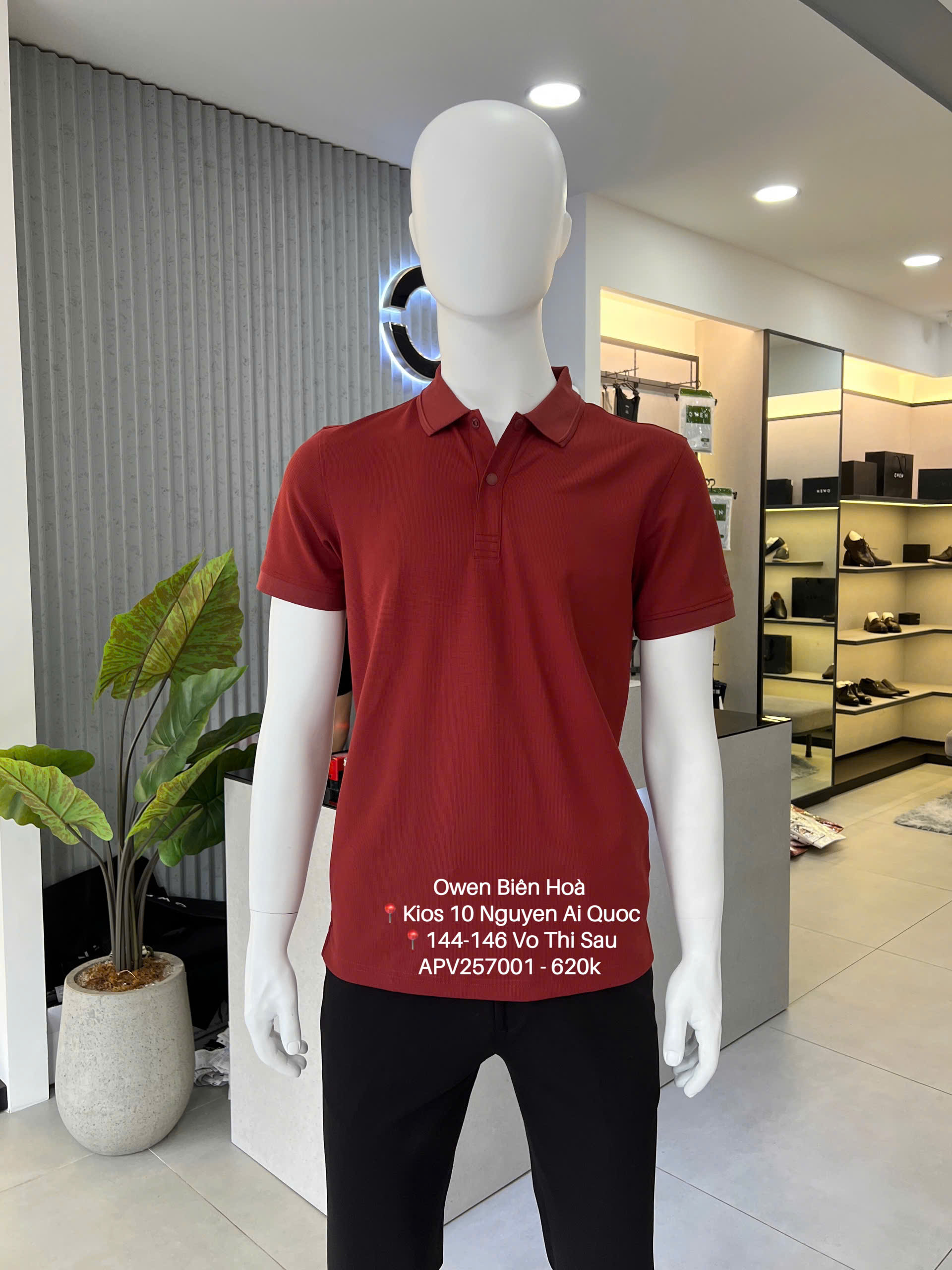 ÁO THUN POLO APV257001