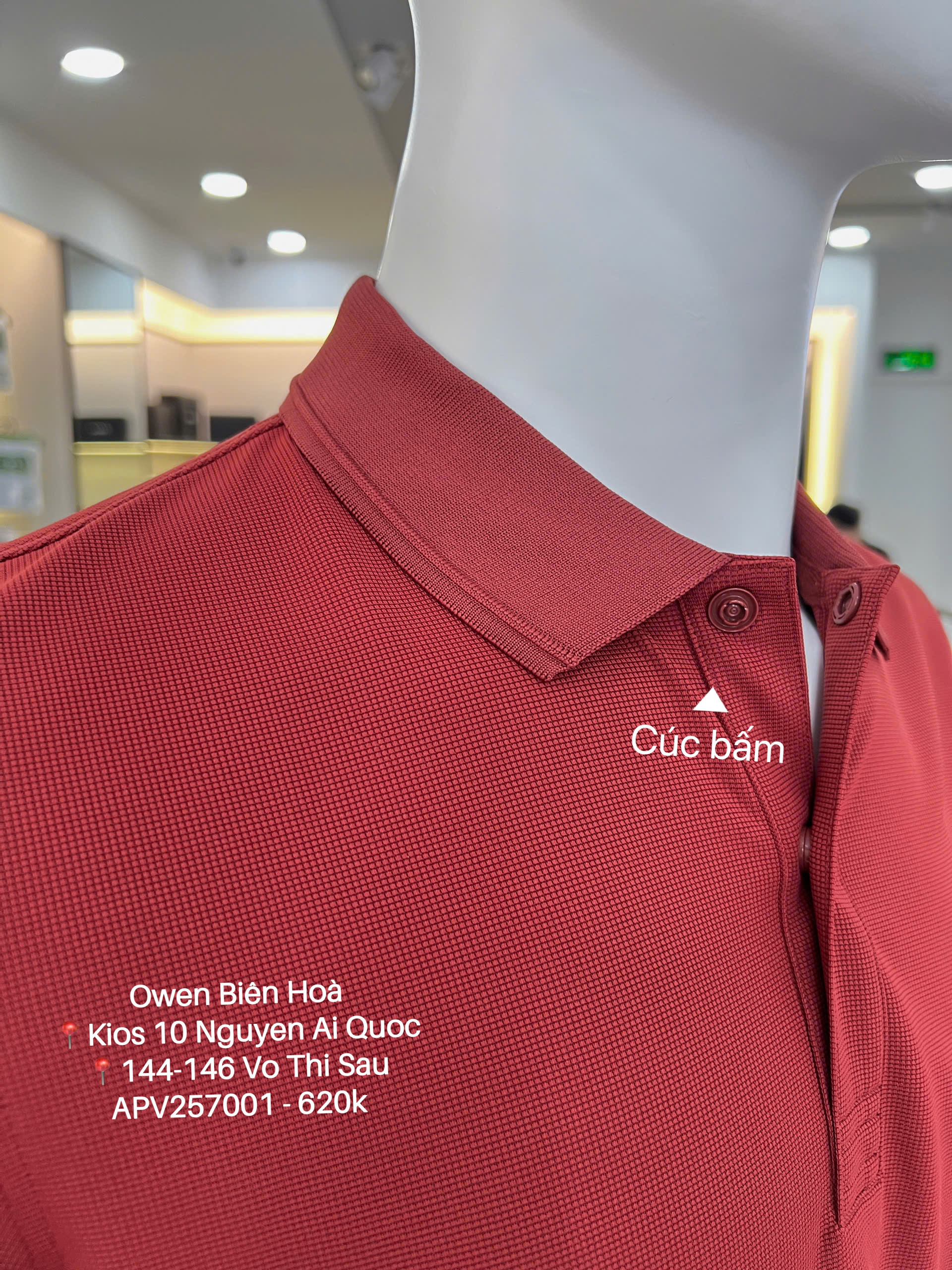 ÁO THUN POLO APV257001