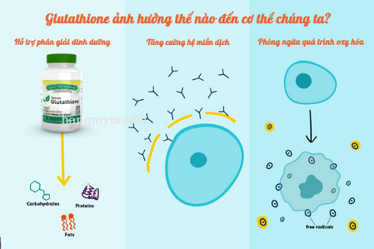 Tác dụng của Glutathione