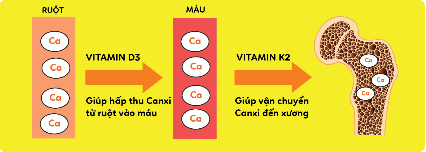 Vitamin-K2-va-D3