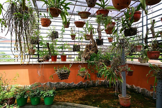 Giàn lan kết hợp mái pin năng lượng mặt trời – Giải pháp xanh cho gia đình 4–6 người