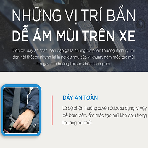 9 vị trí bẩn dễ ám các mùi hôi trên xe 9 vị trí bẩn dễ ám các mùi hôi trên xe