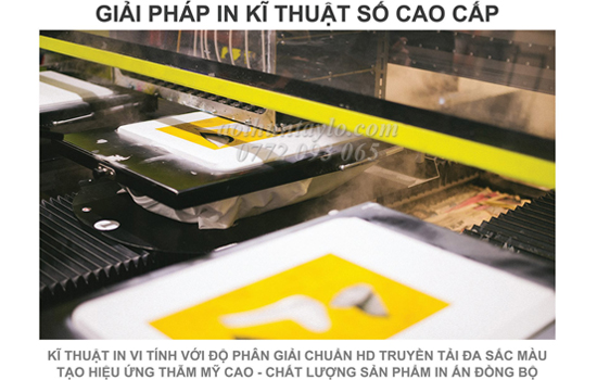 IN ÁO THUN - IN ÁO THEO YÊU CẦU ÁO PHÔNG ĐỒNG PHỤC CÔNG TY TP HCM