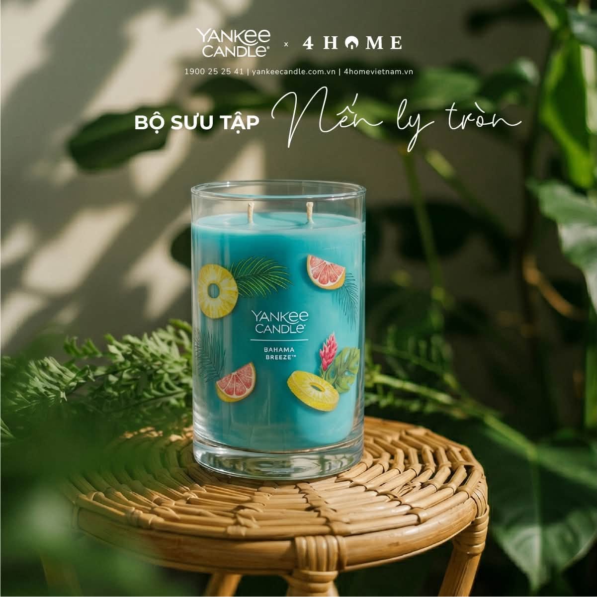 BỘ SƯU TẬP NẾN LY TRÒN YANKEE CANDLE