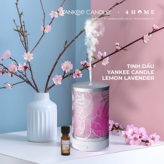 NHÀ ĐẸP, NHÀ THƠM - VẸN TRÒN ĐÓN TẾT