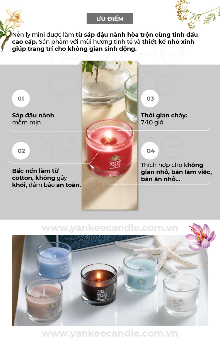 Nến thơm Yankee Candle, Nến ly mini, Mùi Sakura Blossom Festival ...