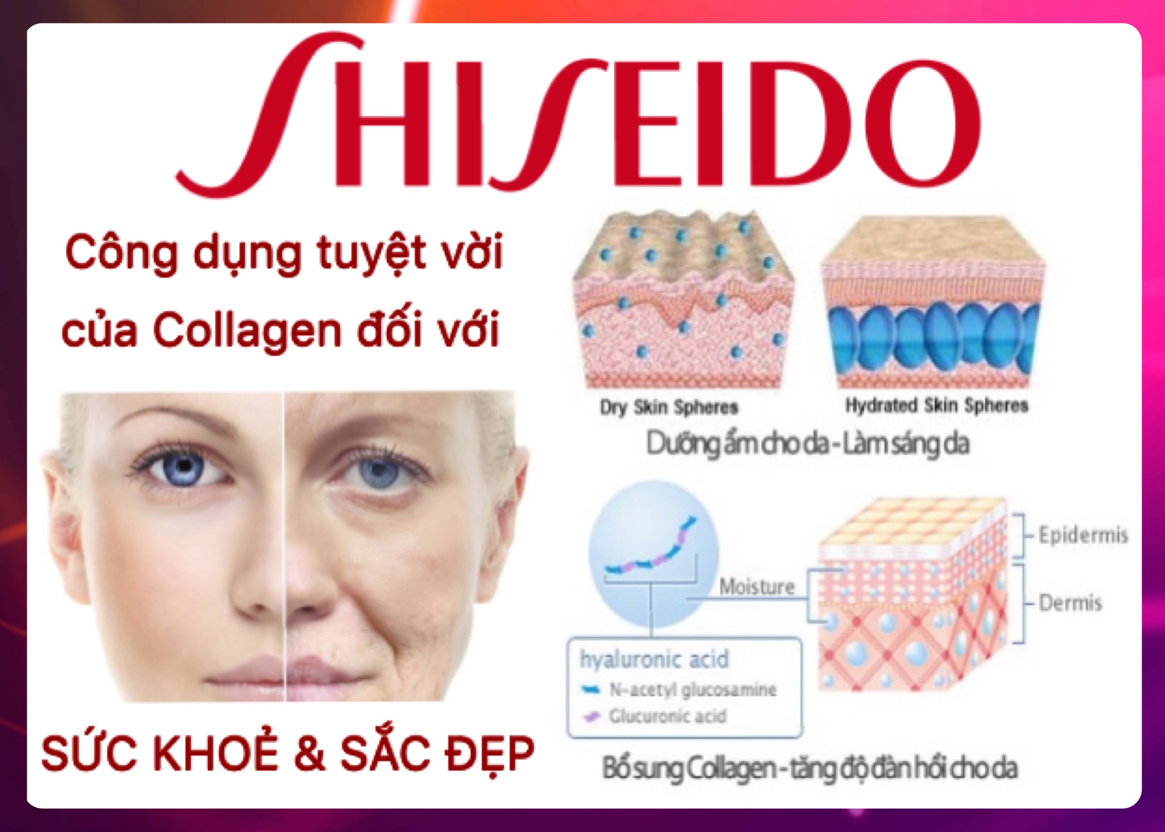 Công Dụng Tuyệt Vời Của Collagen Shiseido Nhật Bản Đối Với Sức Khỏe