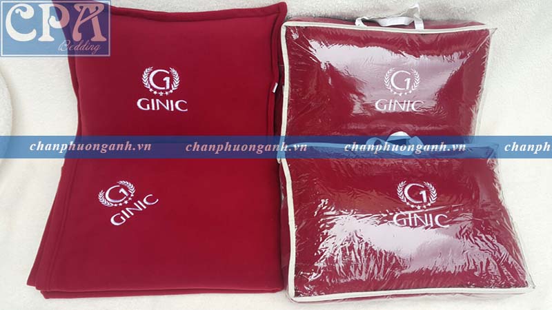 CÔNG TY CỔ PHẦN DƯỢC PHẨM GINIC