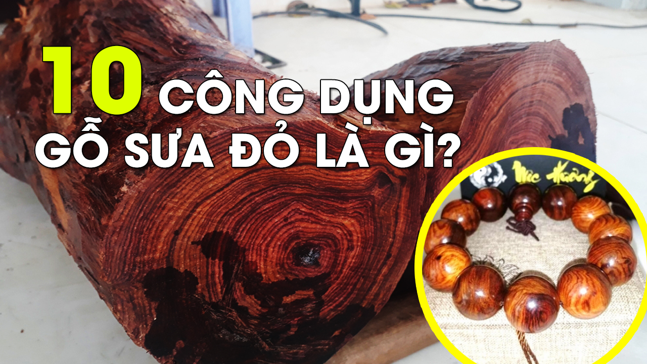 10 Công Dụng Của Gỗ Sưa Đỏ Và Ý Nghĩa Phong Thủy Tâm Linh