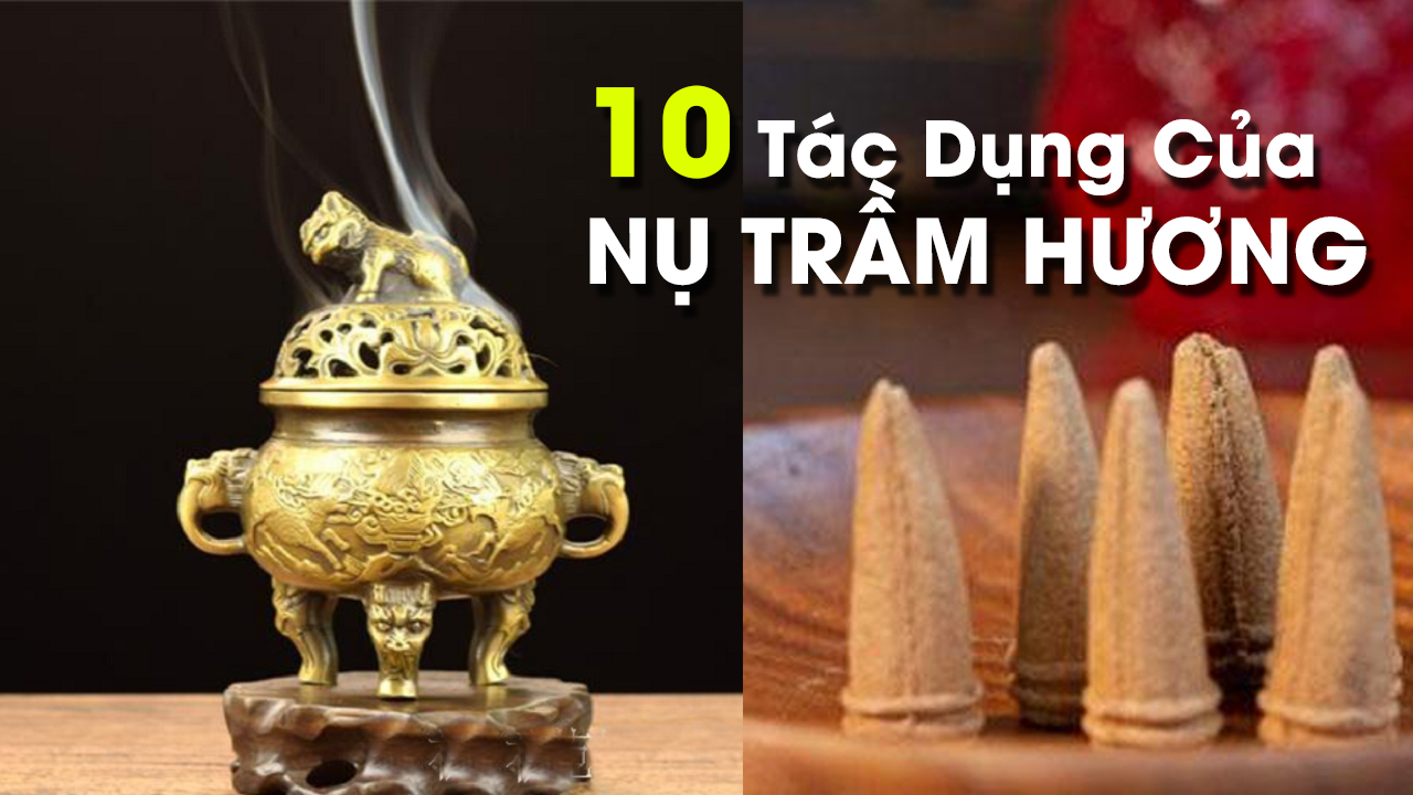 10 Tác Dụng Tuyệt Vời Của Nụ Trầm Hương Tự Nhiên Với Sức Khỏe