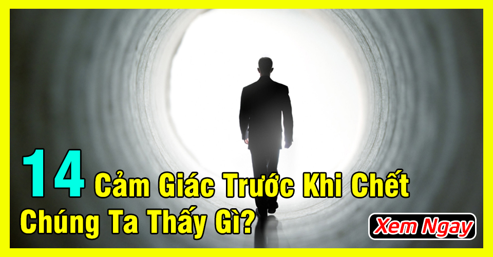 14 cảm giác trước khi 14 cảm giác trước khi