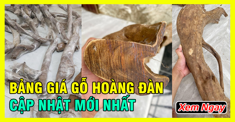 Bảng giá gỗ Hoàng Đàn Tuyết mới và chính xác nhất năm 2023