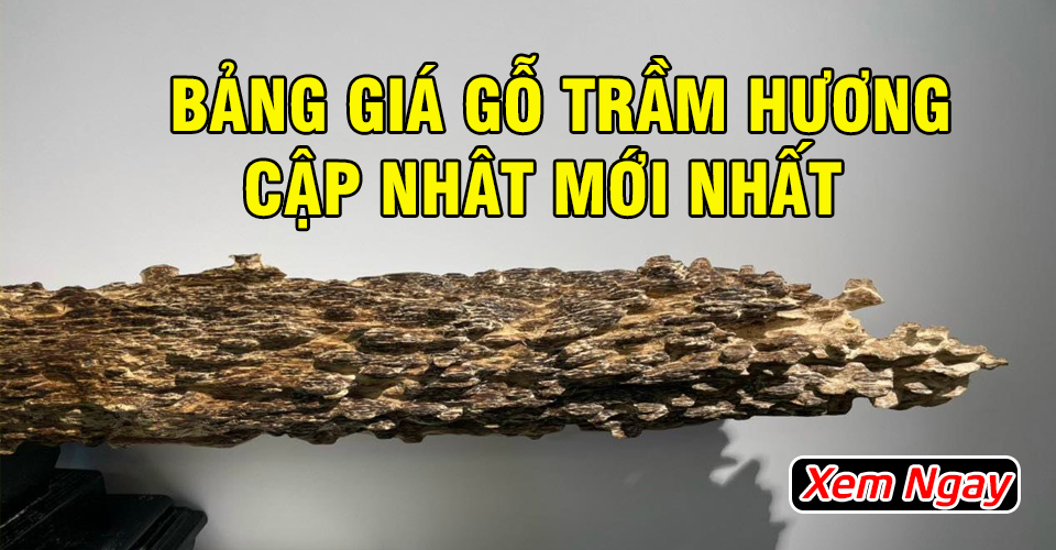 Bảng Giá Gỗ Trầm Hương và Kỳ Nam Cập Nhật Mới Nhất 2023