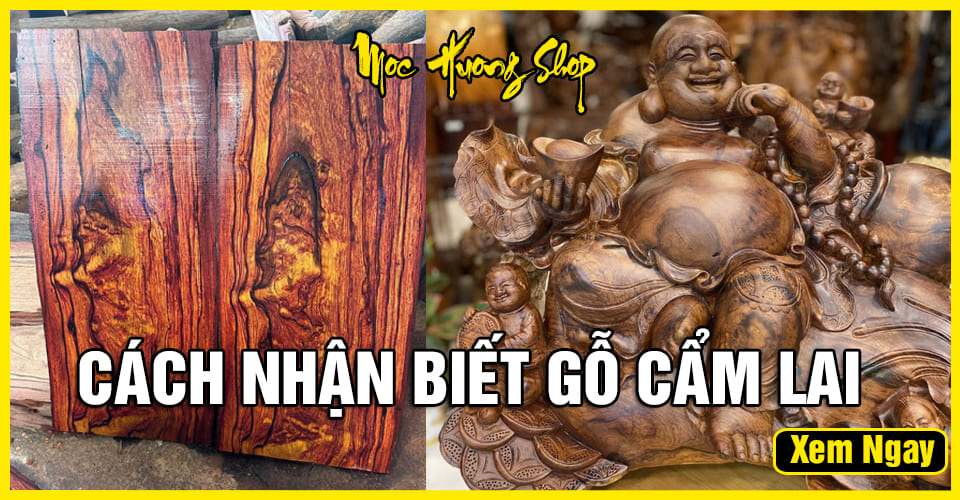 Tất Tần Tận Về Gỗ Cẩm Lai Là Gì? - Nhận Biết và Giá Bán Tất Tần Tận Về Gỗ Cẩm Lai Là Gì? - Nhận Biết và Giá Bán