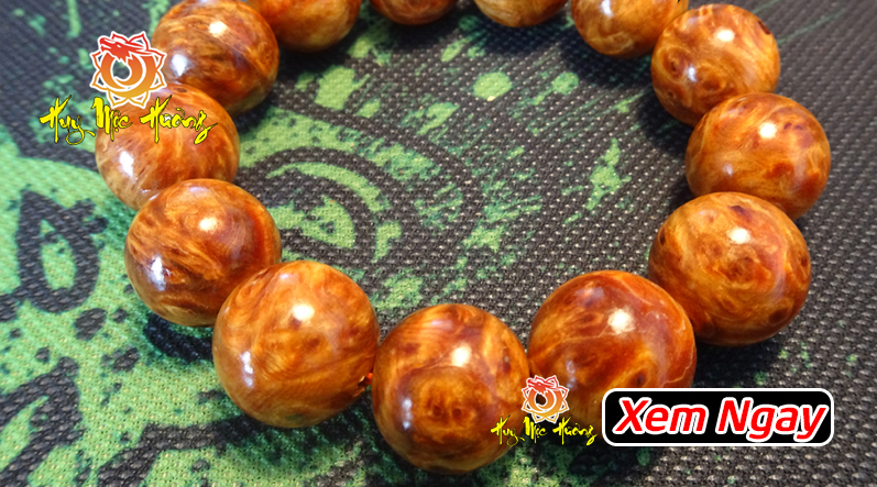 Nu Huyết Long - Cách phân biệt gỗ nu già và gỗ thân non đơn giản Nu Huyết Long - Cách phân biệt gỗ nu già và gỗ thân non đơn giản