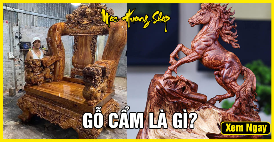 Gỗ Cẩm là gì? Cách nhận biết gỗ Cẩm, Phân loại, Ưu điểm, Giá bán Gỗ Cẩm là gì? Cách nhận biết gỗ Cẩm, Phân loại, Ưu điểm, Giá bán