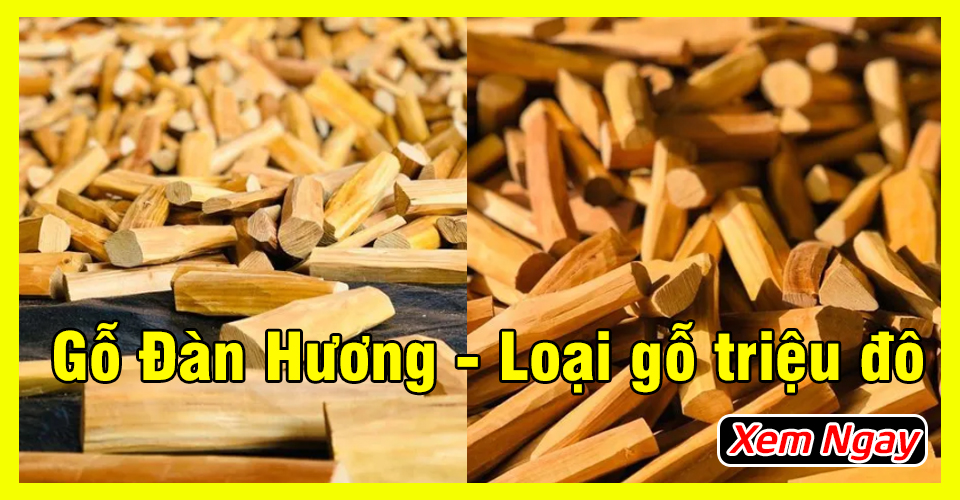 Gỗ đàn hương - loại gỗ triệu đô được giới siêu giàu săn lùng Gỗ đàn hương - loại gỗ triệu đô được giới siêu giàu săn lùng