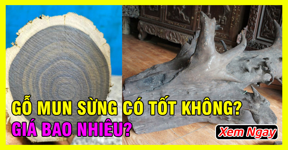 Gỗ mun sừng có tốt không? thuộc nhóm mấy và giá bao nhiêu?