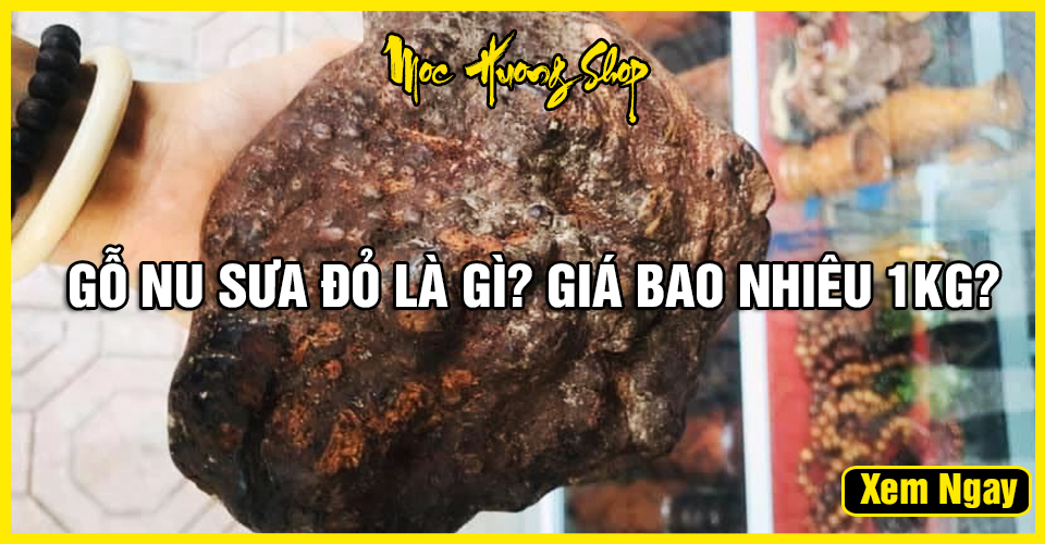 Tất tần tận về Gỗ Nu Sưa Đỏ là gì? Giá bao nhiêu?