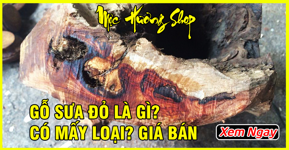 Gỗ Sưa Đỏ là gì? Đặc điểm, Phân loại, Giá và Công dụng