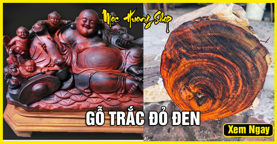 Gỗ Trắc là gì? Cách nhận biết, Ưu điểm, Phân loại, Giá bán Gỗ Trắc là gì? Cách nhận biết, Ưu điểm, Phân loại, Giá bán